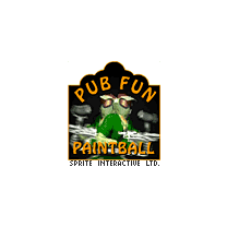 Pub Fun Paintball